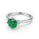 Timeless Essence Emerald Verdant Glow